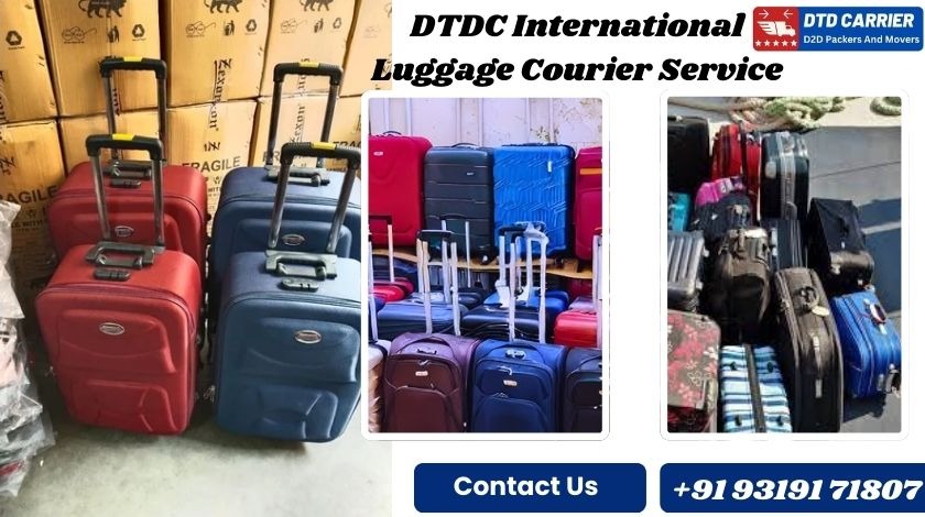 DTDC International Luggage transport Service in Jaipur