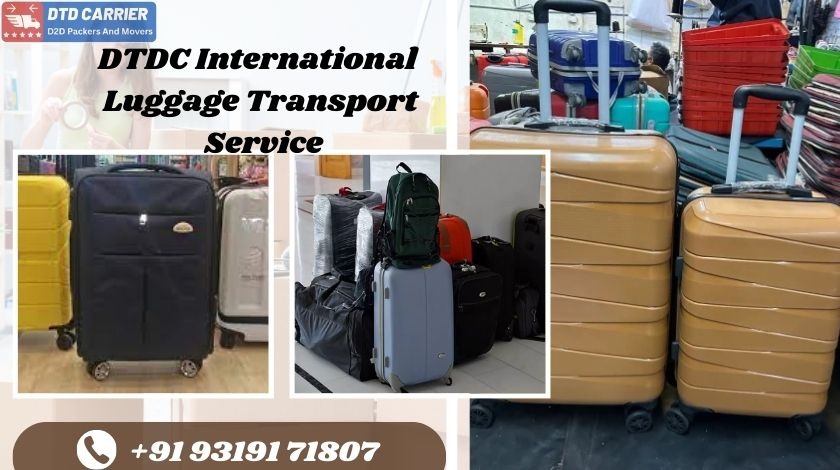 DTDC International Courier Parcel Service in Jaipur