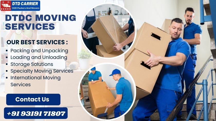 DTDC Packers and Movers rate in Jodhpur